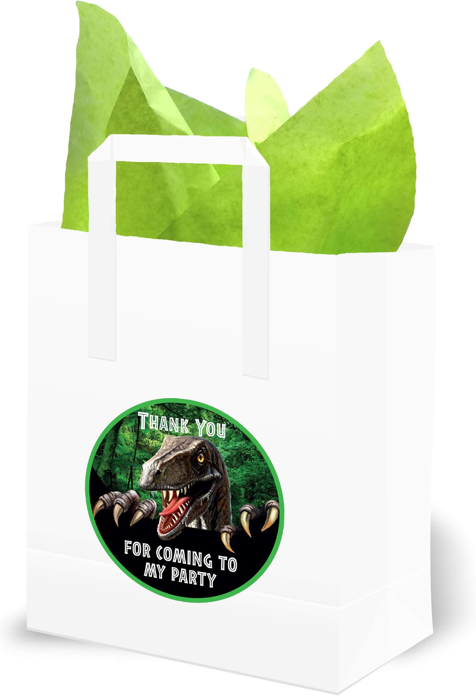 Olivia Samuel Dinosaur Birthday Party Bags with Handles. Green Tissue and Dino Stickers. Thank you for coming to my party. (Pack 10)
