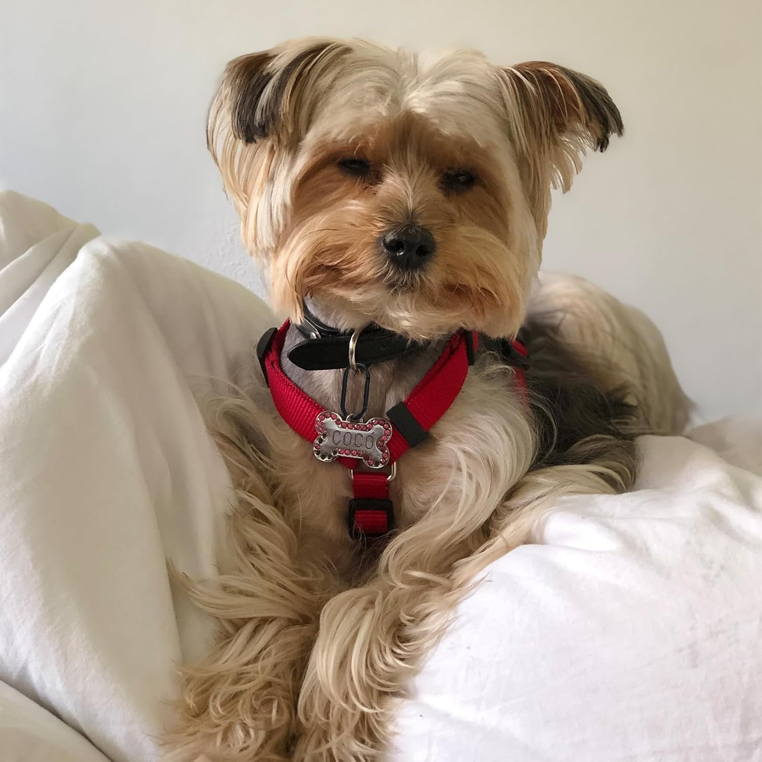 6Pcs Oval Spring Ring Clips Spring O Ring Clip for Purse Strap, Black Buckle Clasp Metal Oval Carabiner Snap Clip Circle Carabiner Clips for Keychains, Handbags, Backpacks, Purse, Keys, Bag Strap - Image 5