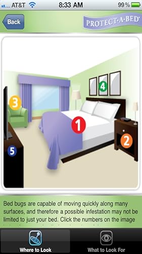 Bed Bugs 101