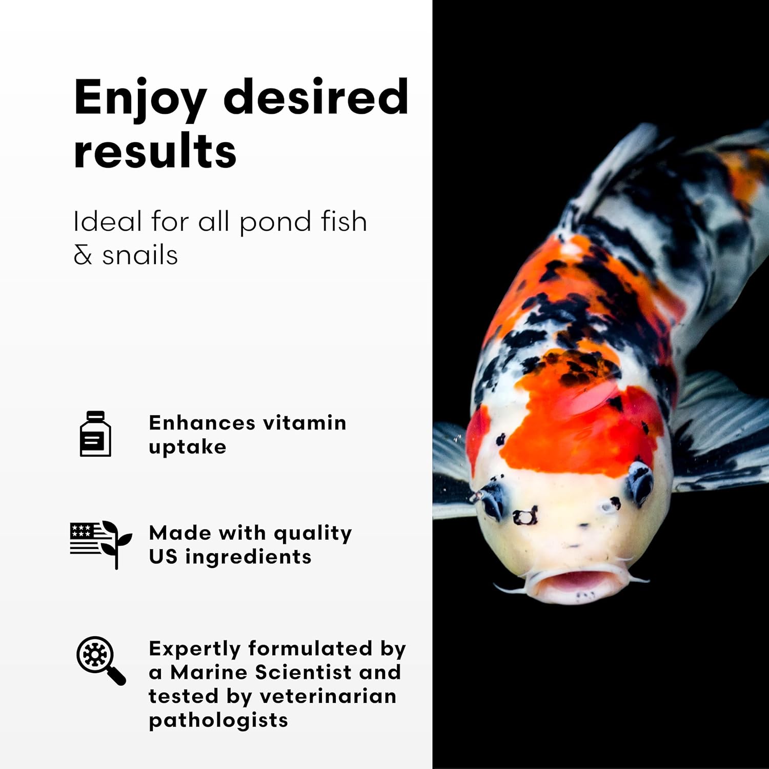 Brightwell Aquatics FlorinVita – Comprehensive Vitamin Supplement for Pond Fish & Snails – Supports Health, Color, & Spawning Readiness, 500 ml