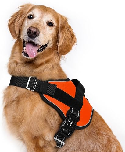 rabbitgoo Dog Harness for Large, Easy On Pet Vest with One Buckle, No Pull Adjus