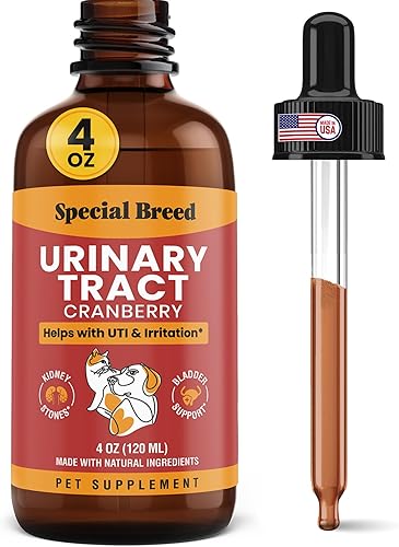 Cat & Dog Multivitamin 21 in 1 Pet Supplements with — detail view