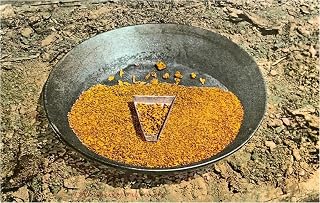 Found Image Press - Pan with Gold Nuggets - Vintage Image