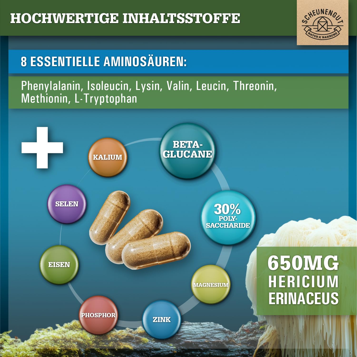 Lions Mane 1950mg -WICHTIG: 30:1 Extrakt (=58500mg Hericium Erinaceus pro Tagesdosis) +30% Polysaccharide +5% Beta Glucan -Lions Mane Kapseln- Vegan + Laborgeprüft DE SCHEUNENGUT®