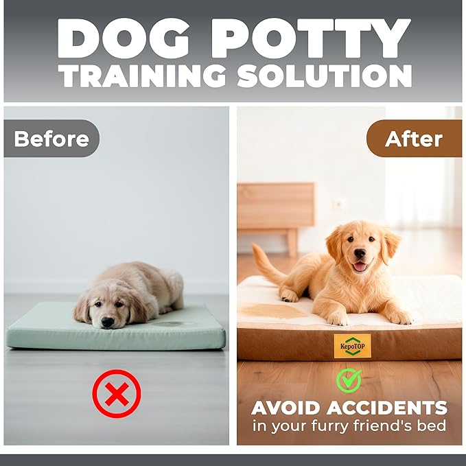 Cama para Perros Mediana Colchoneta Lavable con Soporte Ortopédico miniatura 7