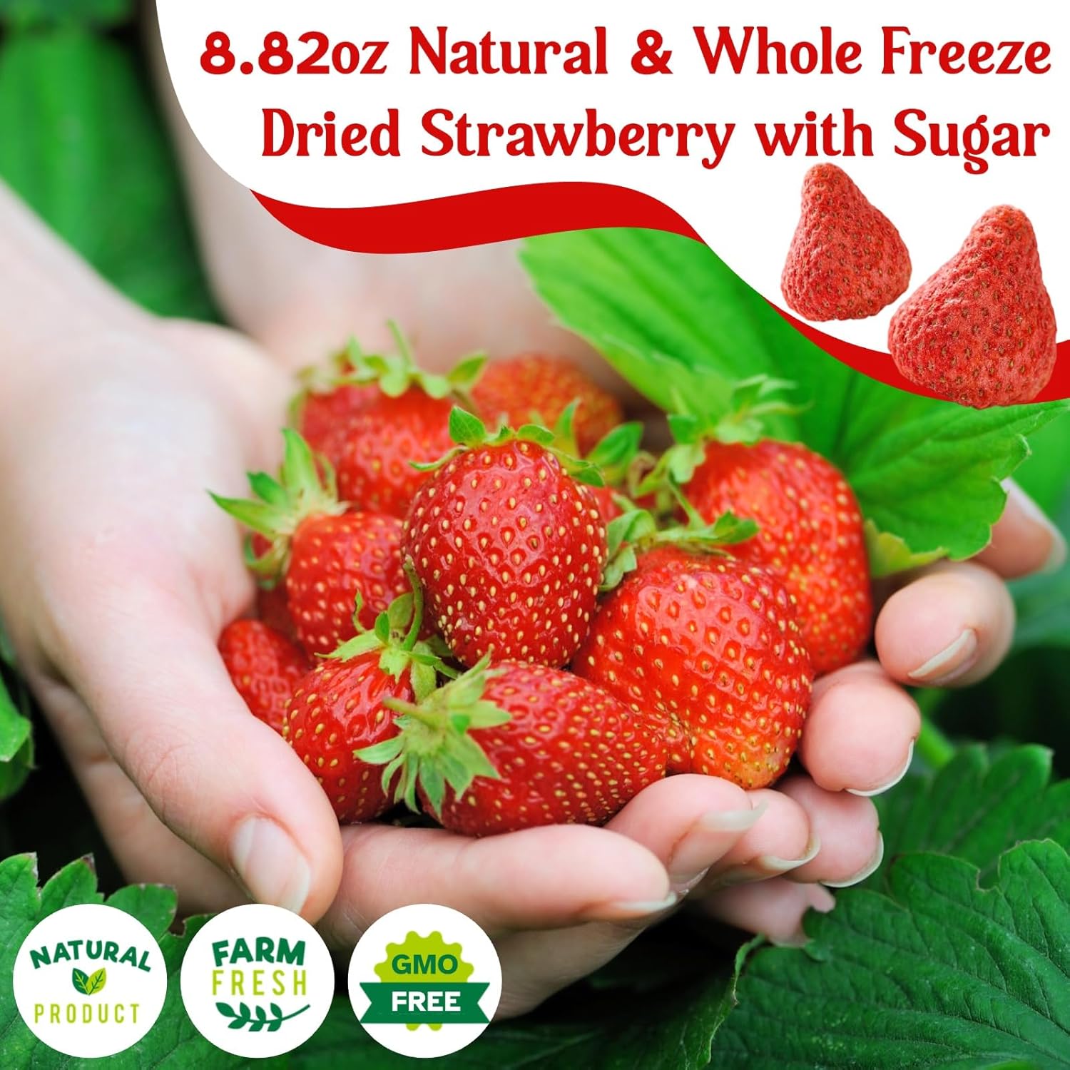 8.82OZ Whole Freeze Dried Strawberry - 100% Natural Strawberry with Sugar, Vegan & NON GMO, Dried Strawberries Perfect for Snack, Beverages, Baking, Ice Cream, Oatmeal(250g)