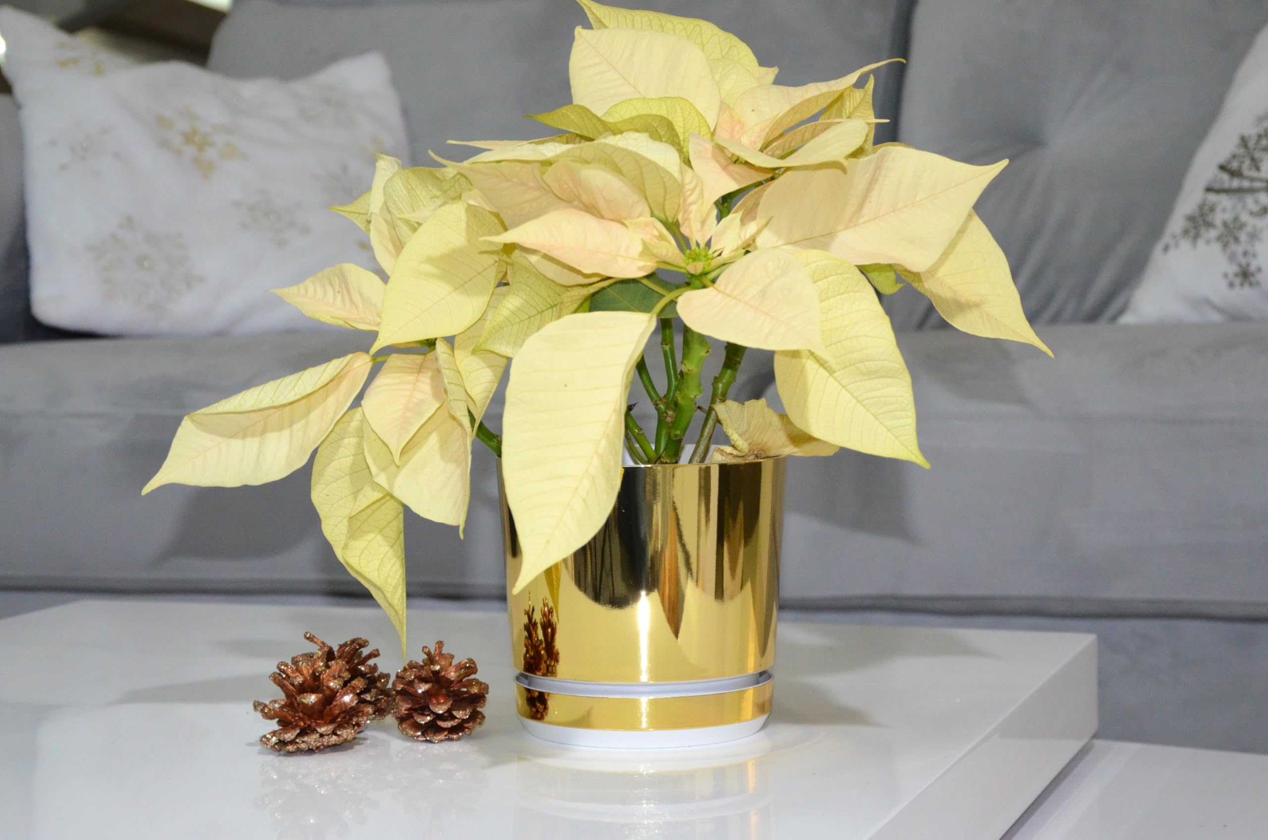 KERD Très Grand Pot de Fleurs 32 cm, Style Glamour Couleur Or Champagne, Finition Brillante pour Plantes, Rond avec Soucoupe, Fabriqué en Europe, Plastique Recyclé