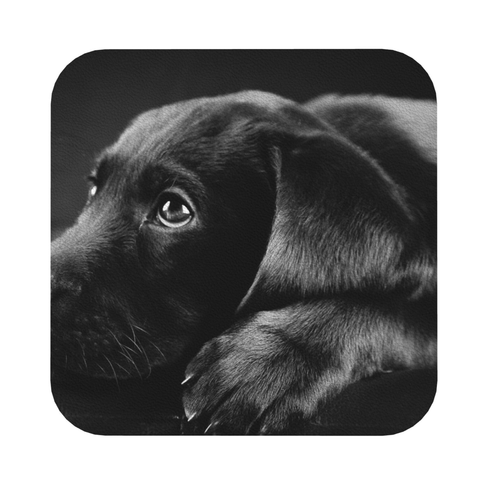 puppies dog PU Leather Coasters Set of 6 Square Drink Coasters