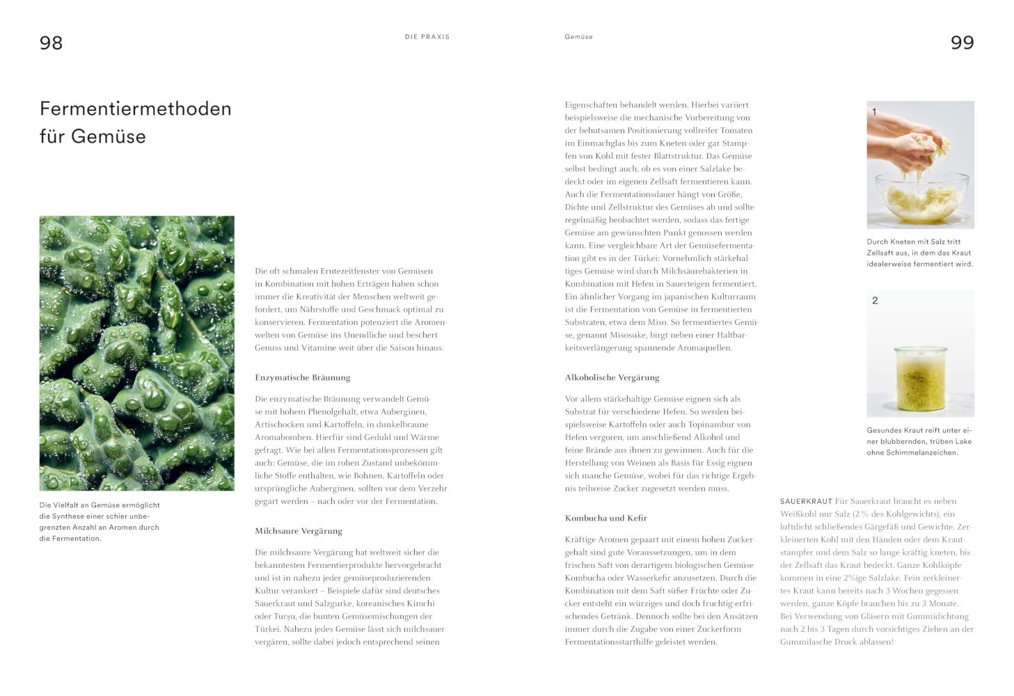 Fermentieren: Gekonnt kochen (Genießerküche)