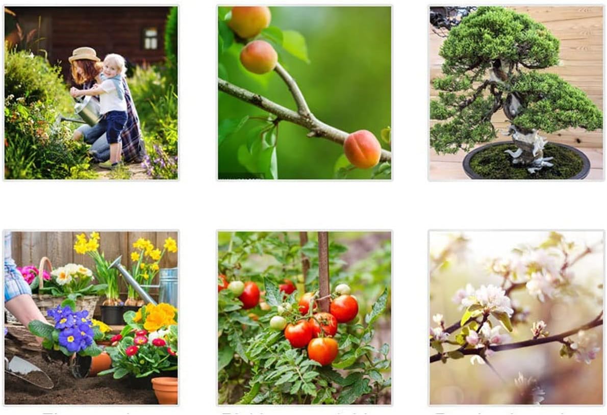 INLIMA Gardening Scissors Garden Pruning Shears Orchard Plant Branch Trim Horticulture Pruner Cutting Shrub Scissors Tool Bonsai Floral Secateurs