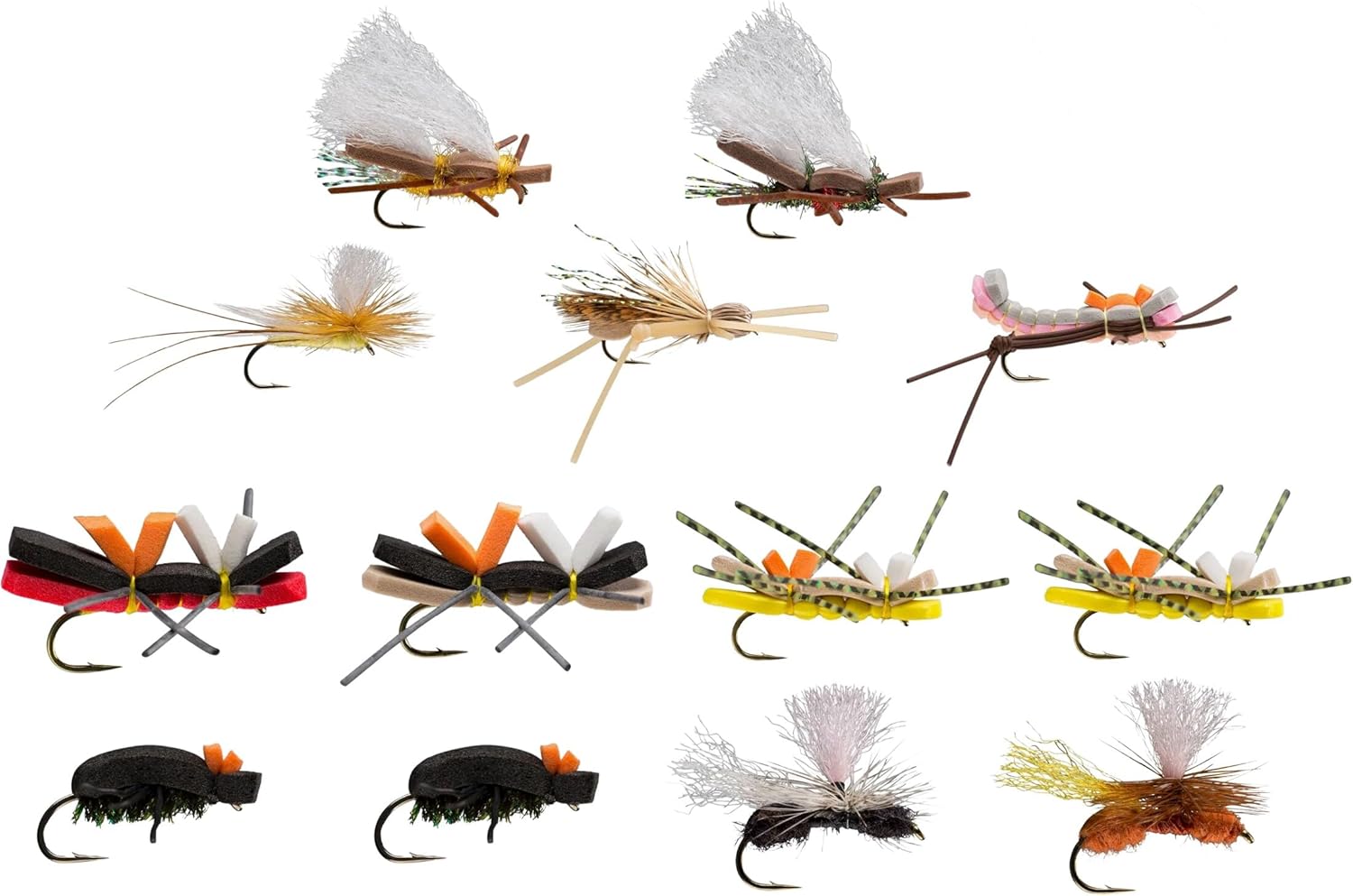 Rio Terrestrial Assortment - 6-F32367