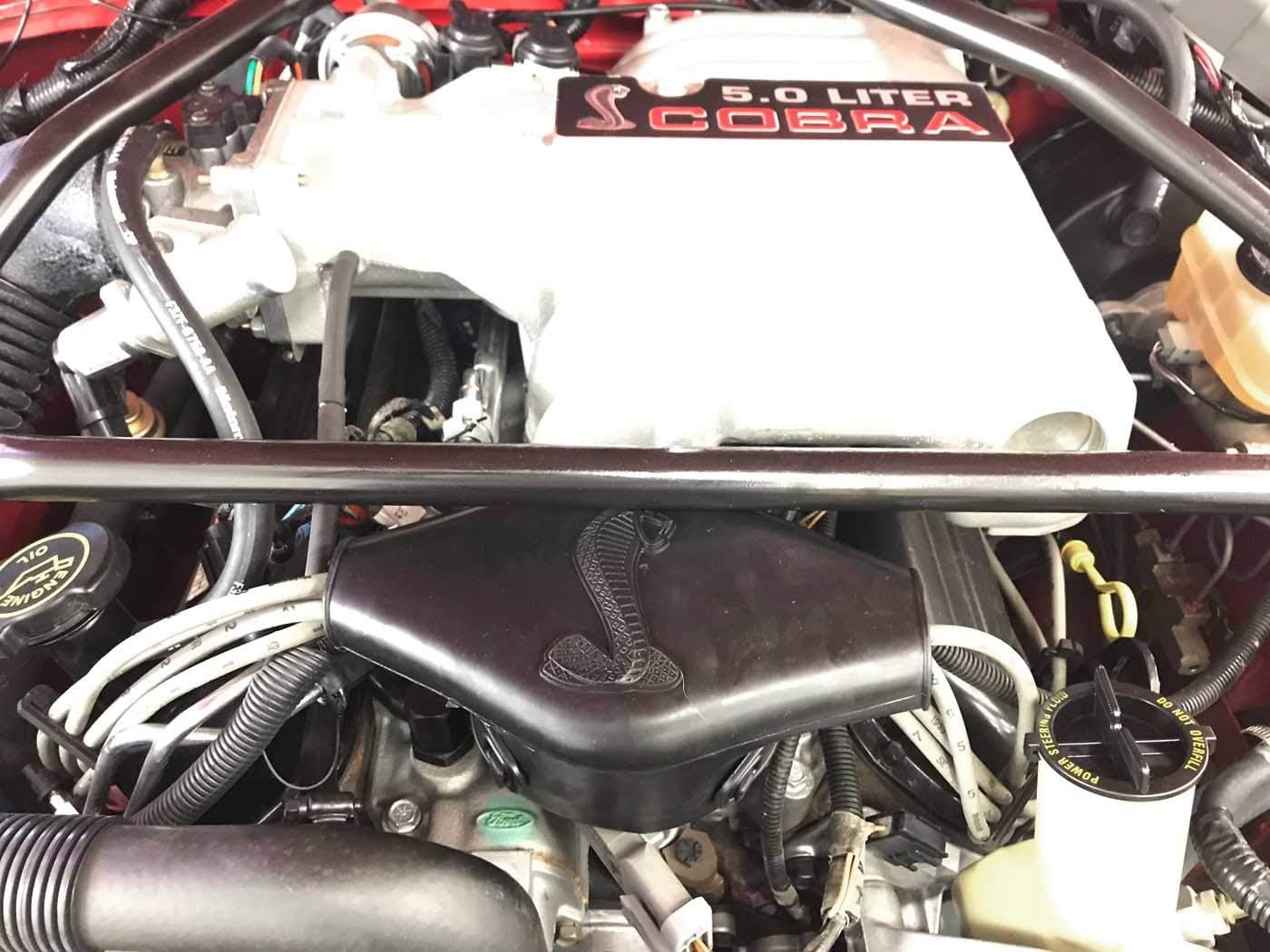 1993-1995 Mustang 5.0 Liter Distributor Boot Cover with Cobra Logo