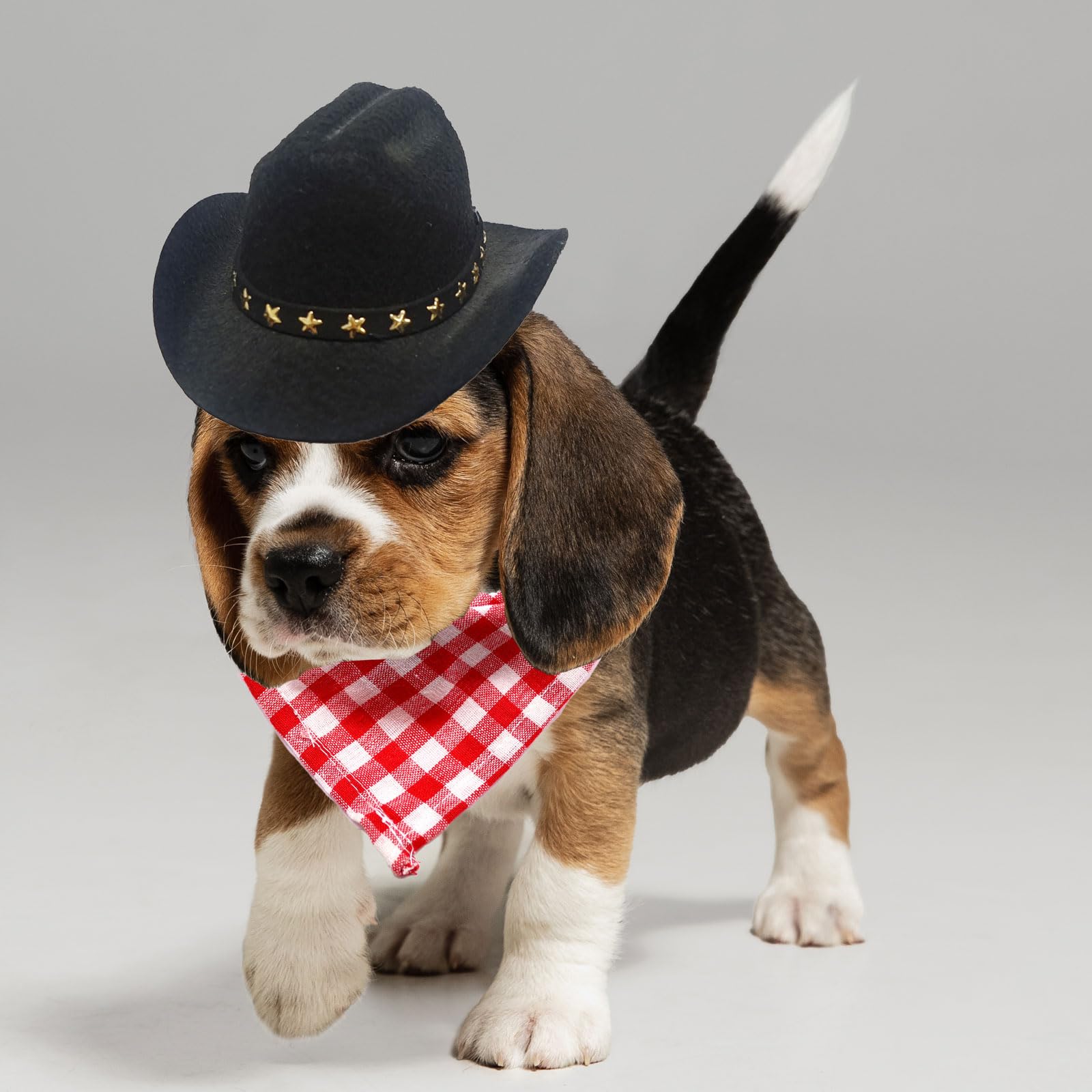 Petta Cowboy Costumes for Dogs & Puppies, Cowboy Hat with Scarf PD602-4