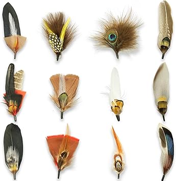 12Pcs Hat Feathers for Cowboy Hats, Small Feathers for Hats, Natural Assorted Feathers Cowboy Hat Feather, Colorful Craft Feathers Hat Feathers for DIY Craft Accessories Decorations 12 Style