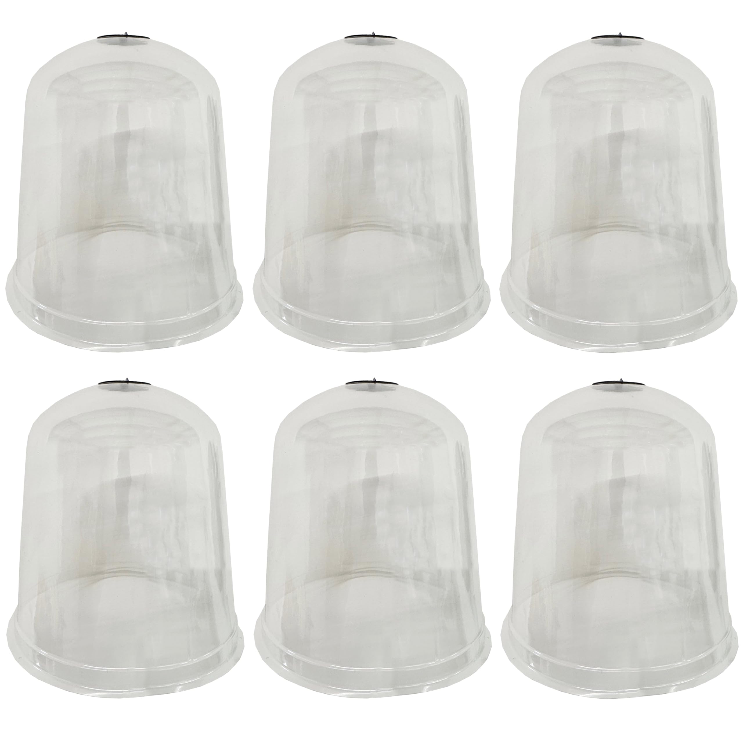 Selections Large Garden Plant Bell Cloche Plastic Covers with Ground Pegs Reusable Frost and Pest Protection (Pack of 6)