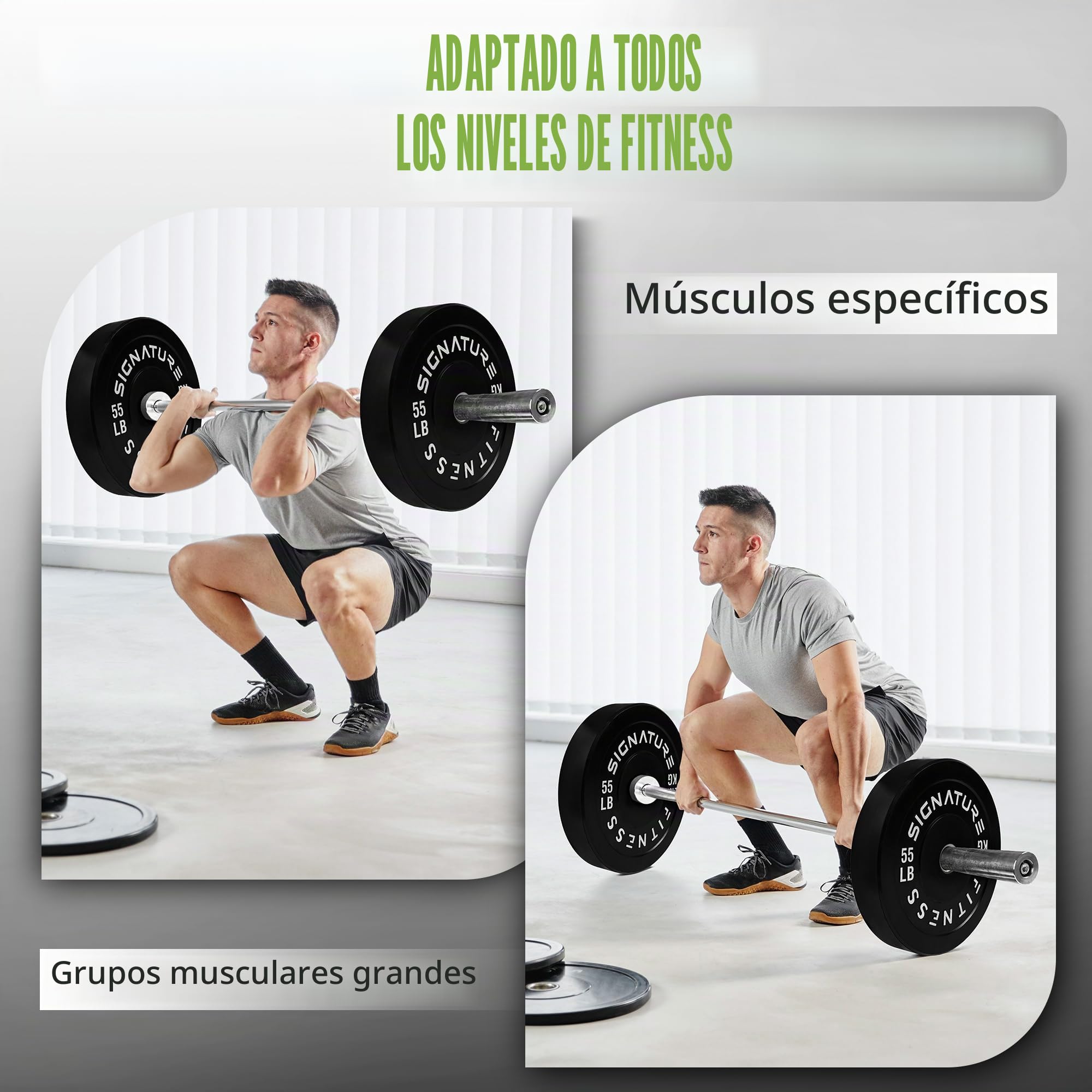 Fitvids Bumper Plate, Olympische Hantelscheiben mit Stahlnabe, 5,1 cm, 1 Paar