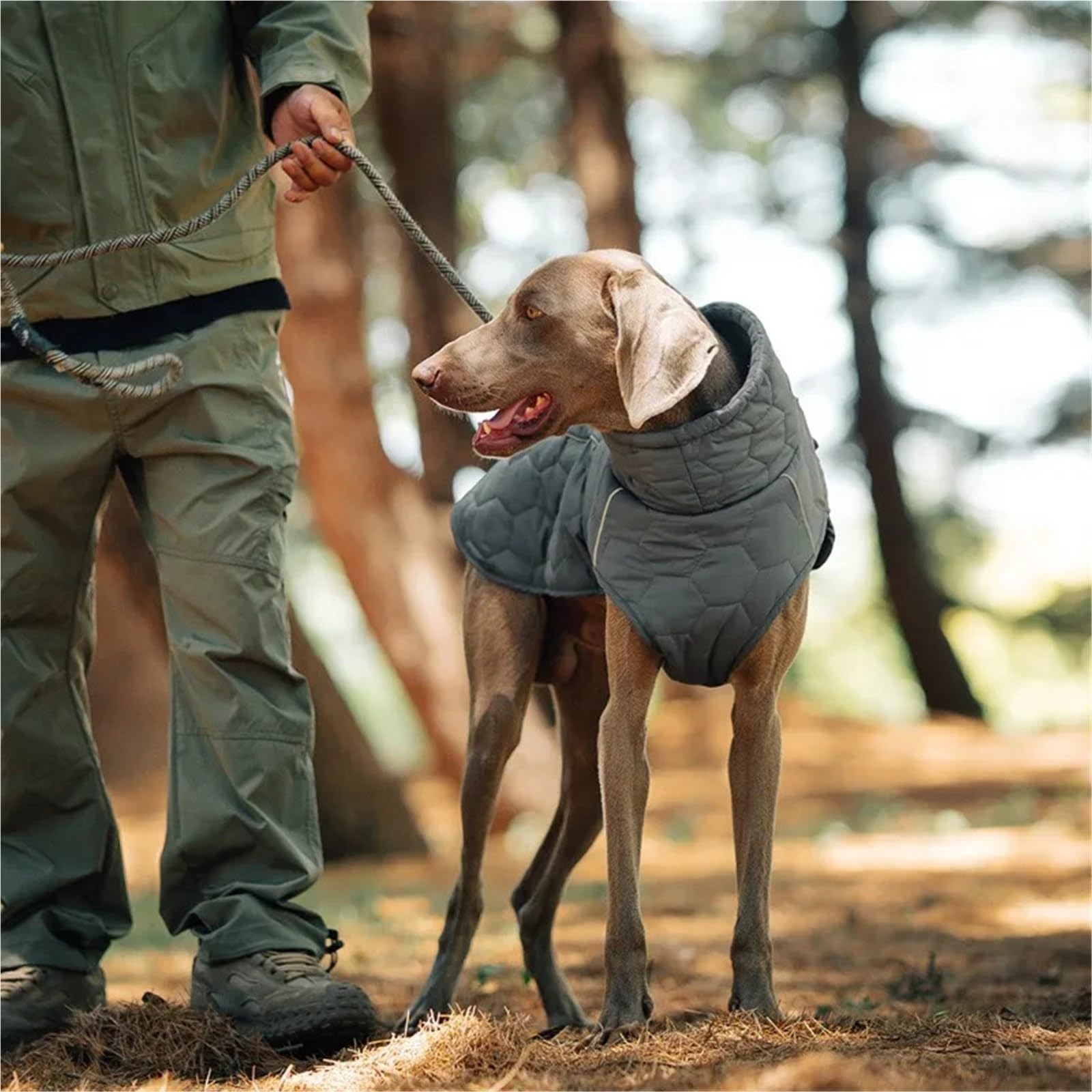 Manteau réfléchissant pour chien - Veste d'hiver matelassée chaude réglable pour petits chiens, moyens et grandes tailles(Gray,XXL)