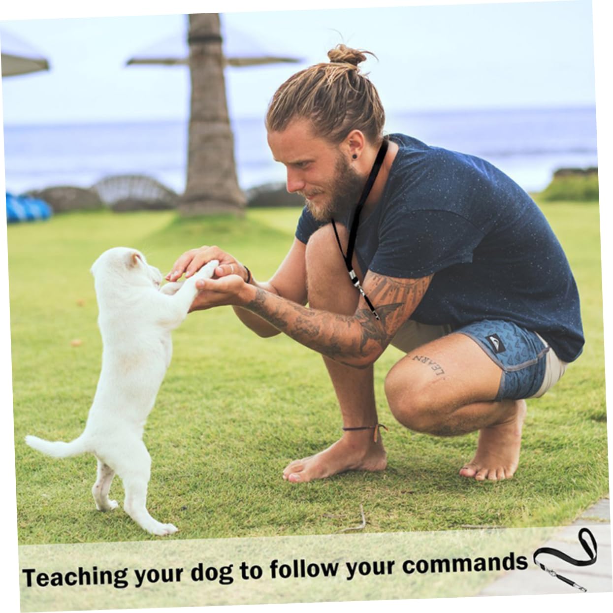 balacoo Pet Whistle Lanyard 3 Pack Dog Training Tool Sound Training for Ideal for Small Breed Dogs Like Chihuahua