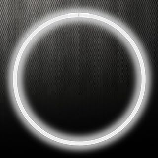 Windy City Novelties - 50 pack - 22 inch Glow Stick Necklaces in Bulk - For Glow Party Favors, Concerts,Glow Party, and Raves.