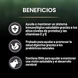 Ver la foto 2