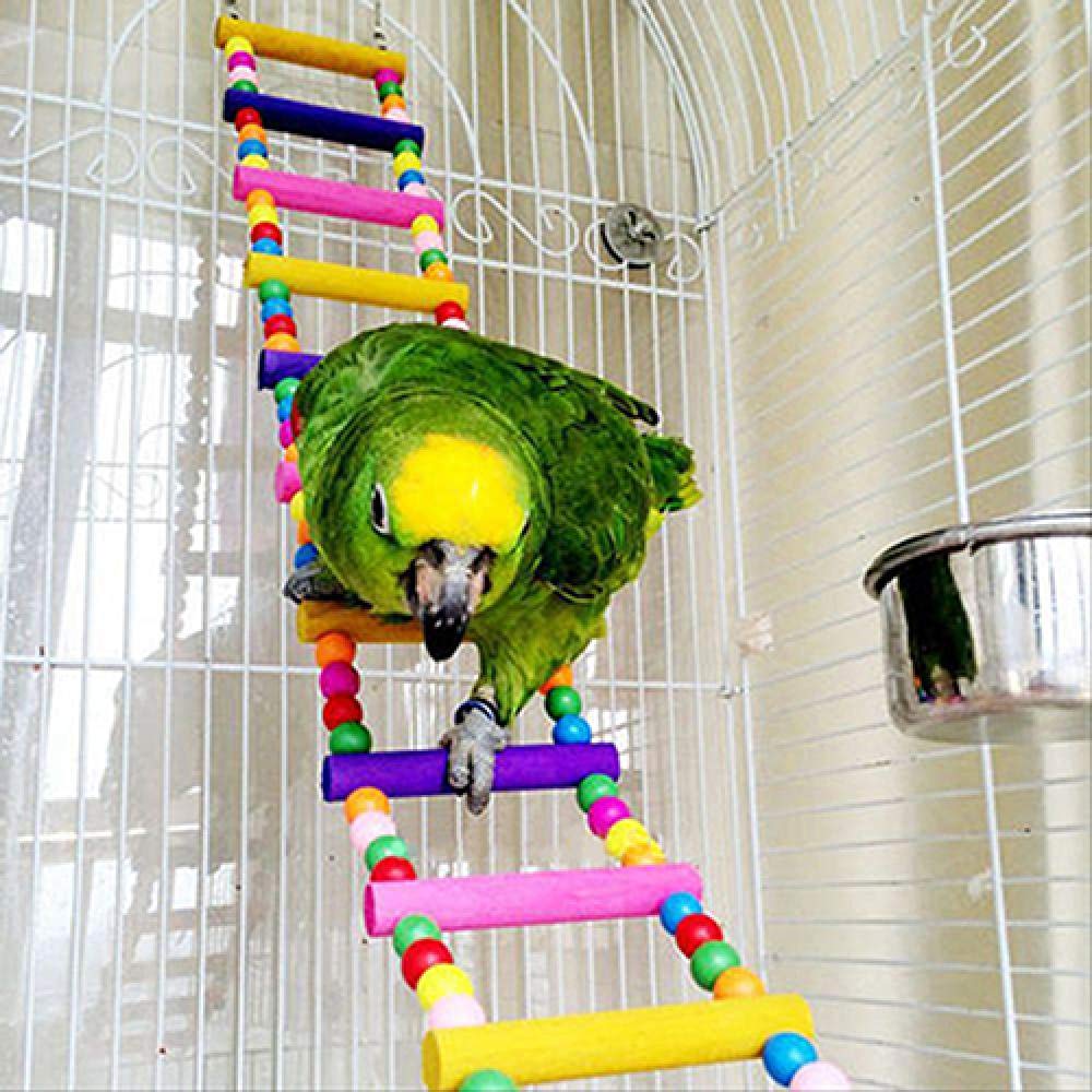 Leitern Für Vogelkäfige 3St Set Multicolor Ladder Bridge Wellensittich Papagei Klettern Biss Spielzeug Sittich Schaukel Vogel Spielzeug Vogelbedarf 2set