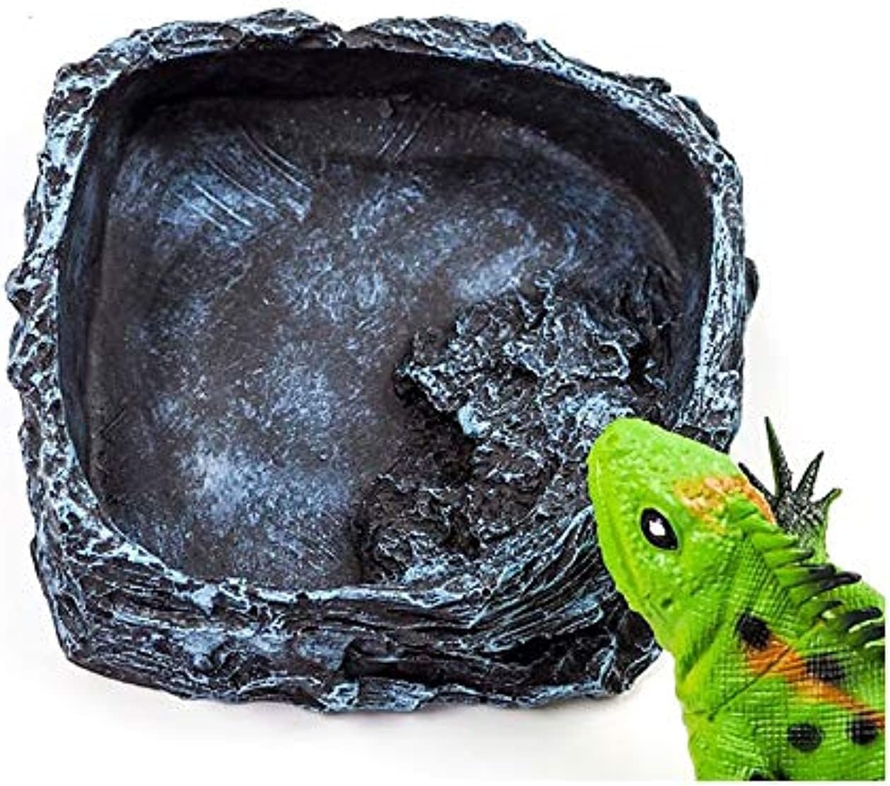 ANTOLERock Food Water Dish Tray Bowl Reptile Natural Bowl For Amphibians Reptile Tortoise Snake Lizard Gecko Spider Frog (Large)