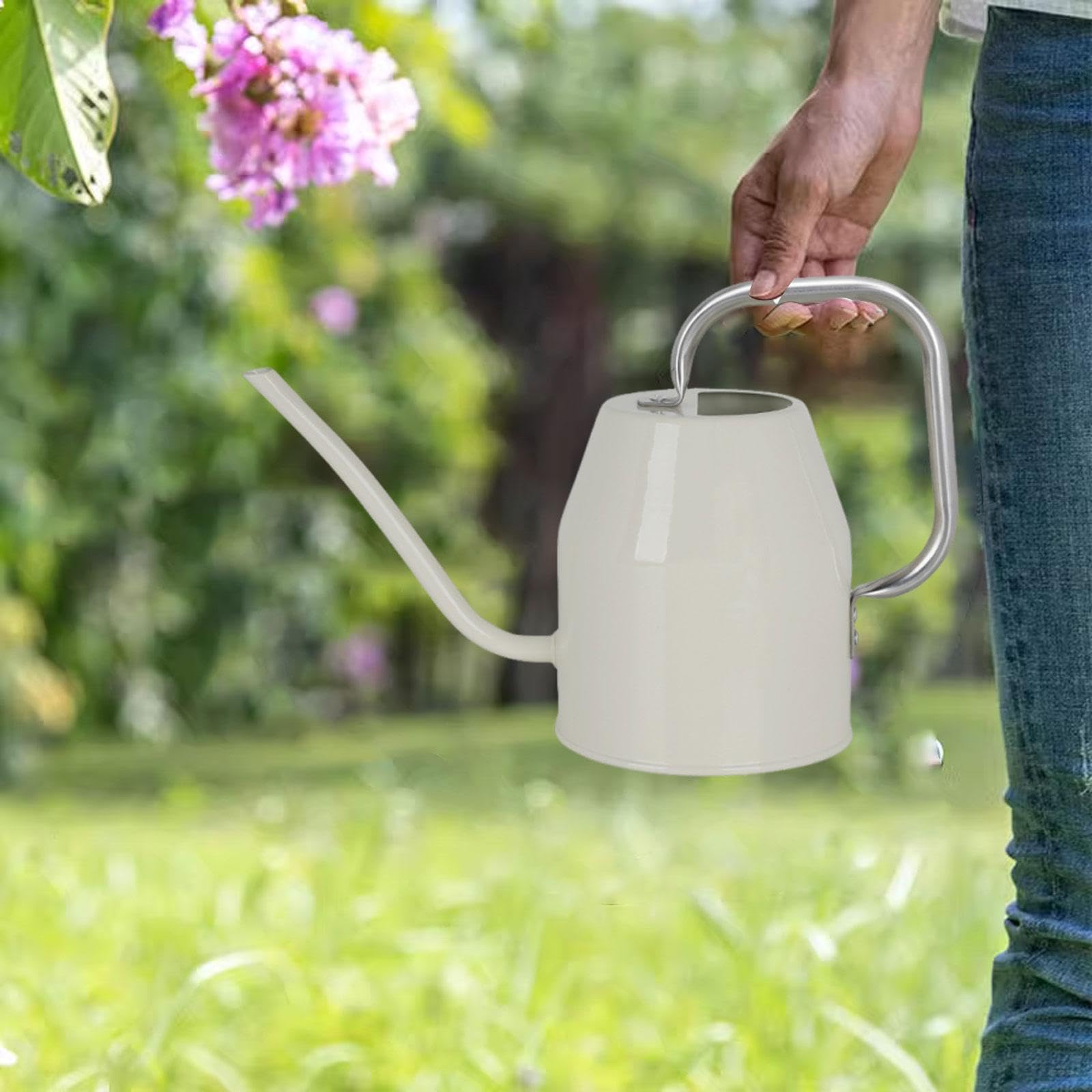 Arrosoir de Jardin à Long Col de 1 L pour D'intérieur et Jardin