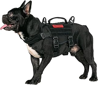 dog combat vest