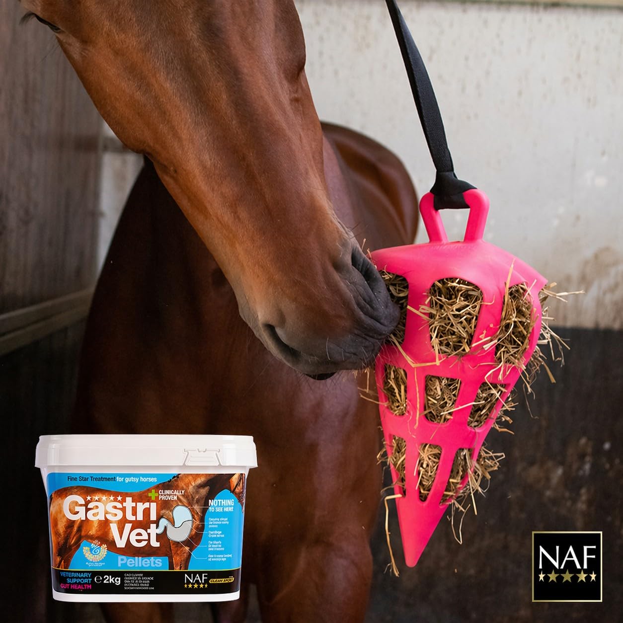 NAF Five Star GastriVet 2 kg – Apoyo estomacal avanzado para Caballos – Contiene prebióticos, probióticos y postbióticos – para apoyar la mucosa gástrica y la Salud intestinal