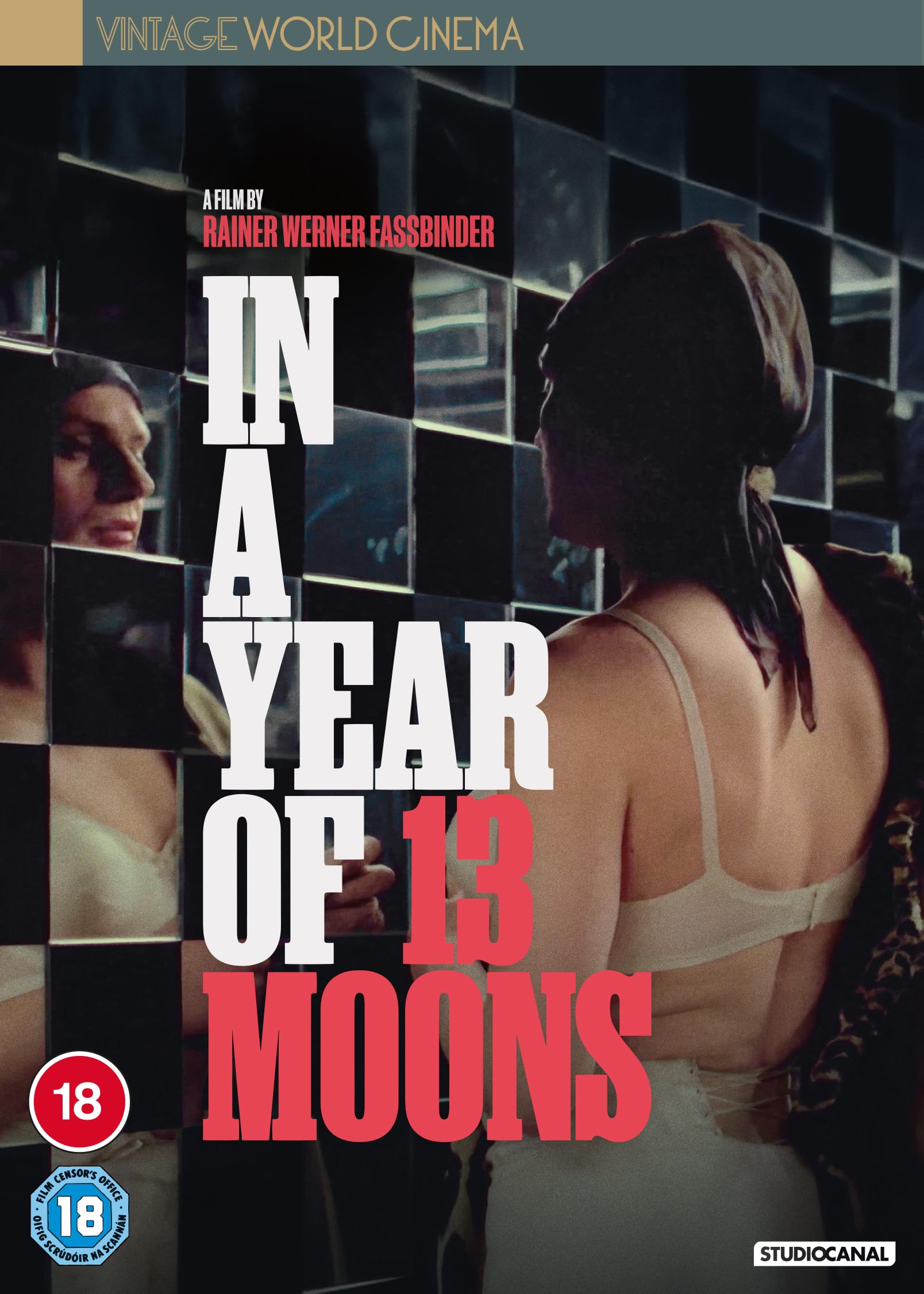 In A Year of 13 Moons (Vintage World Cinema) [DVD]