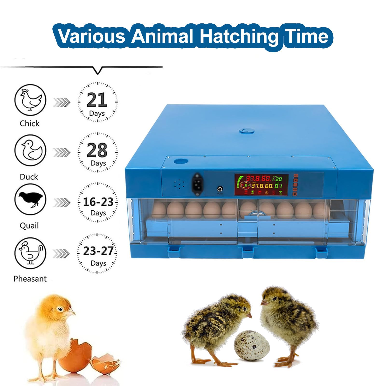 Incubatrice per La Schiusa di Pulcini, Girauova Automatico, Contiene 64 Uova, Display di Temperatura E umidità, Candela per Uova, per Piccoli Volatili, Polli, Anatre, Quaglie