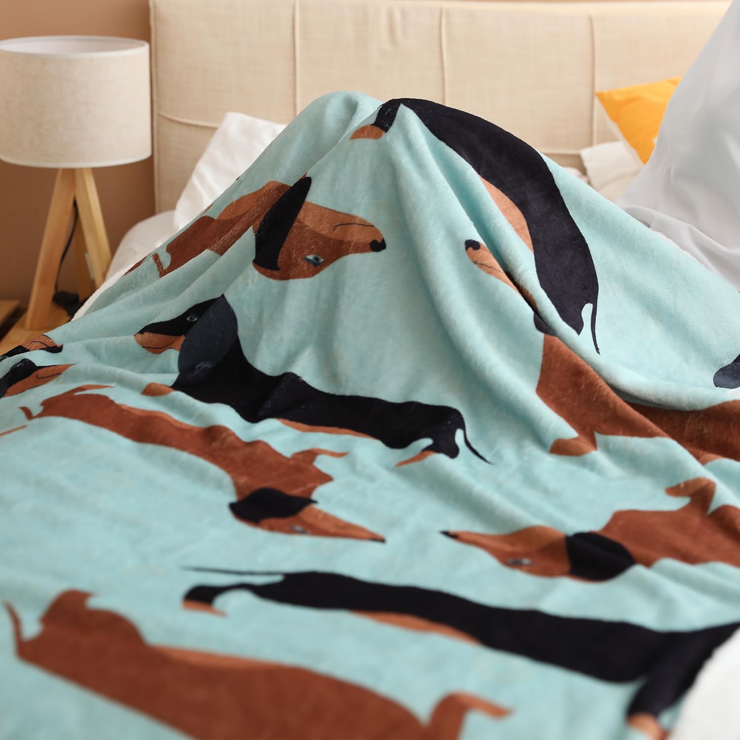 Dachshund Blankets, Weiner Dog Blanket, I Love Dachshunds Blanket for Adults Super Soft Dachshund Gifts for Dog Lovers (Dachshund 1, 47" x 60") - Image 8