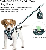 Vista 104 de Petmolico - Juego de arnés para perro sin tirones, 2 correas de sujeción con asa de fácil control, chaleco reflectante para razas pequeñas, arnés