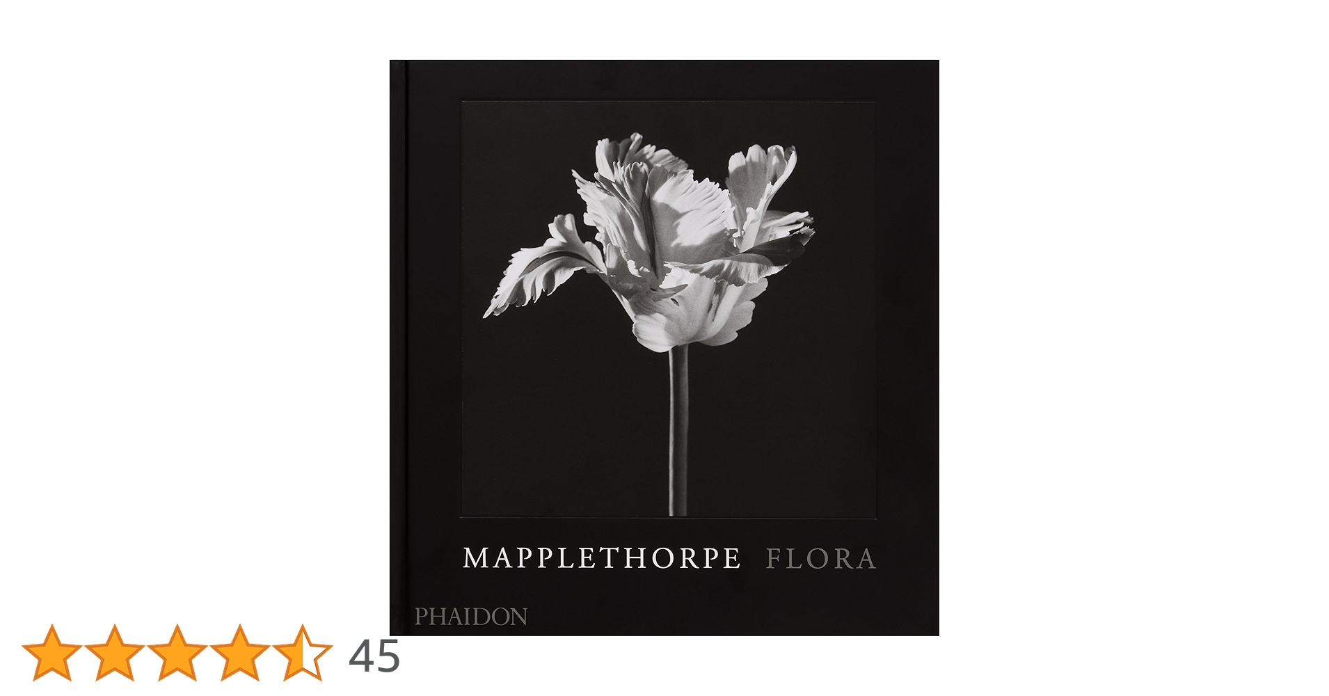 MAPPLETHORPE アートブック　初版 MAPPLETHORPE アートブック 初版 - メルカリ