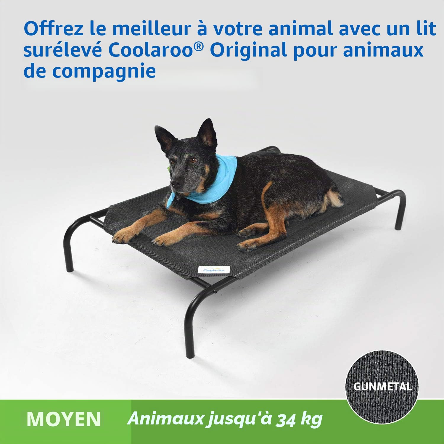 Coolaroo The Original Lit surélevé rafraîchissant pour Chien, intérieur et extérieur, Taille M, Gris Acier
