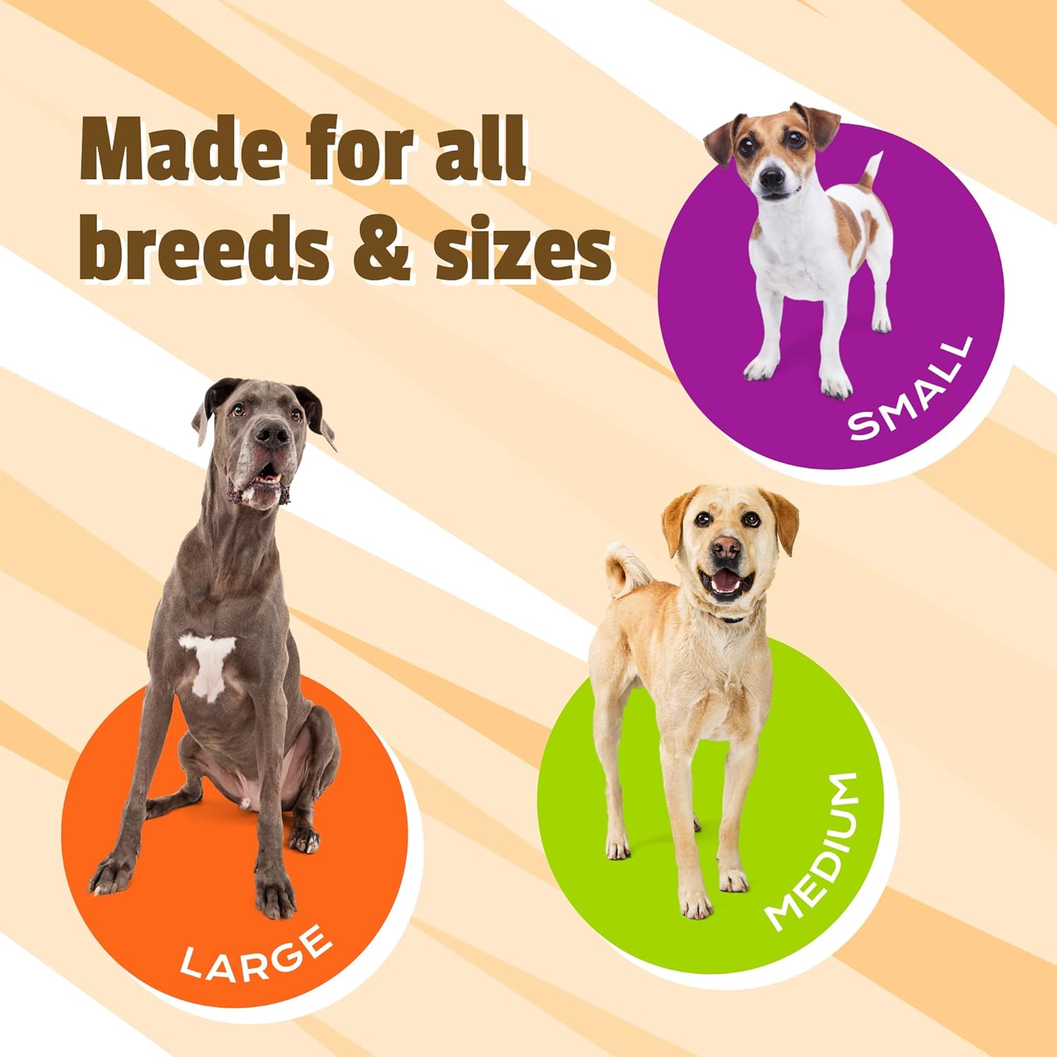 Pet Naturals Hip and Joint Pro con glucosamina, condroitina y MSM