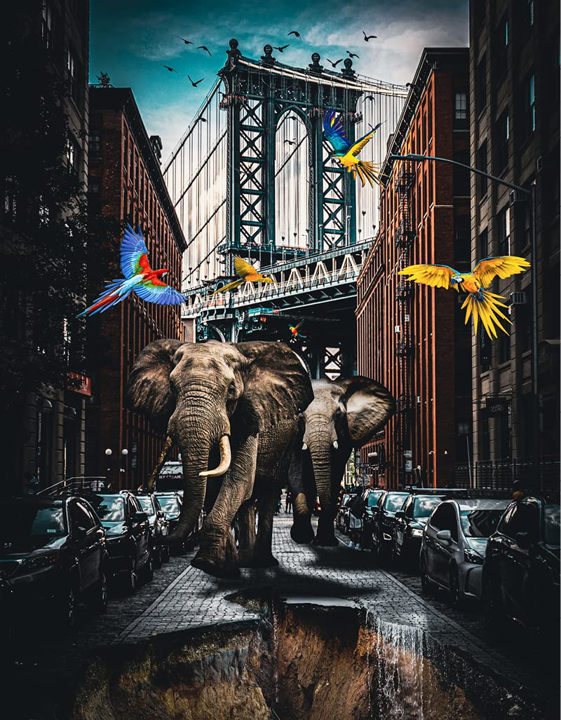 Éléphant à Brooklyn impression d'art premium sur papier mat epais