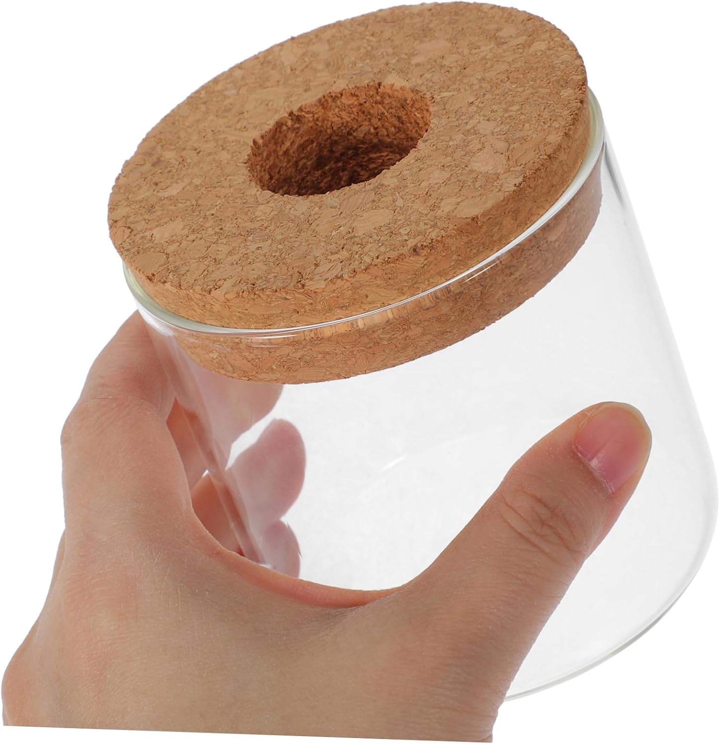 GALPADA Green Plant Glass Bottle Plant Holder Hydroponics Supplies Terrarium Jars for Office Home Decor