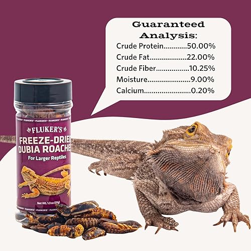 Miniatura 18 de Fluker's Grillos liofilizados, ideales para reptiles, pájaros y peces, llenos de proteínas y nutrientes esenciales, 1.2 onzas