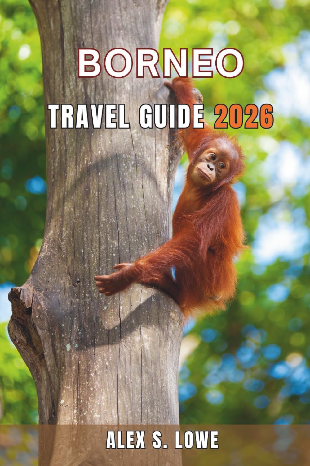 BORNEO TRAVEL GUIDE 2026: Navigate Rainforests, Rivers, and Wildlife While Experiencing Local Culture, Practical Itineraries, and Insider Travel Tips