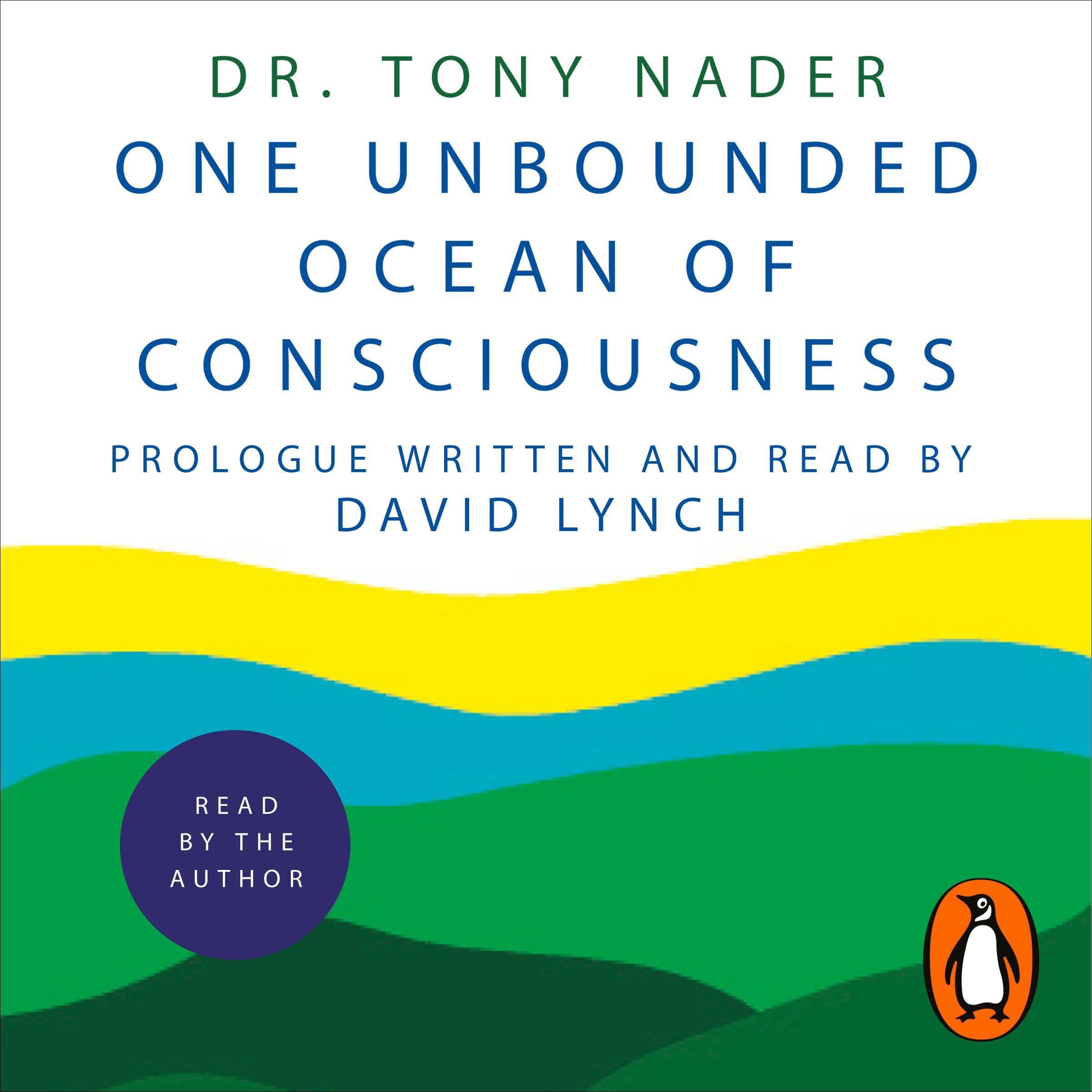 Consciousness Is All There Is: How Understanding and Experiencing Consciousness Will Transform Your Life