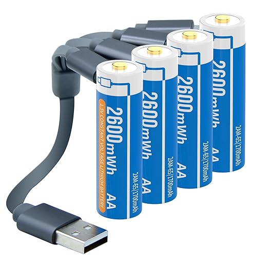 Henreepow High‑Capacity USB‑C AA Pack