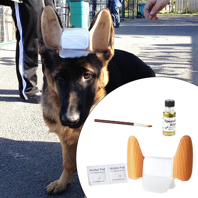 Foto 2 de 6 de Leeadwaey Kit de herramientas para el cuidado de las orejas de cachorro para pastor alemán S