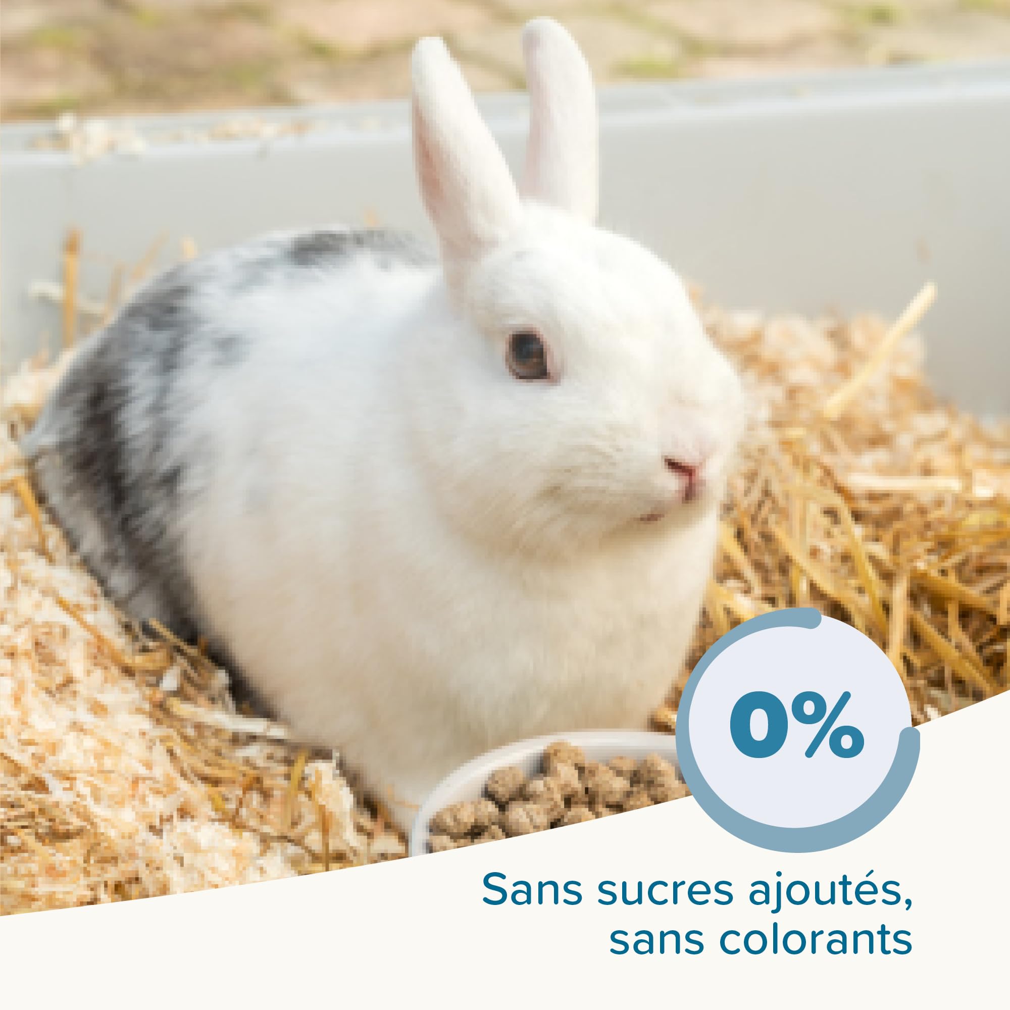 BEAPHAR – Care+ – Alimentation Super Premium extrudée pour Lapin Junior – 25% de Fibres – Appétent, sans Sucre ajouté ni Colorant – Haute digestibilité – Aide à l’Usure Naturelle de Dents – 1.5 kg