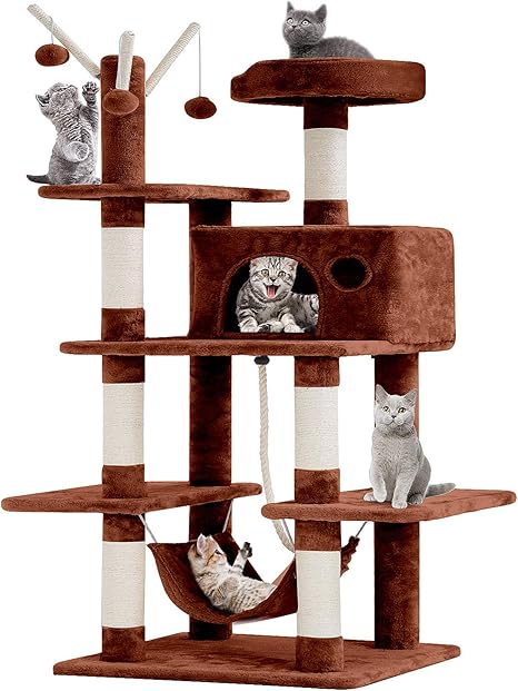 indoor cat playground