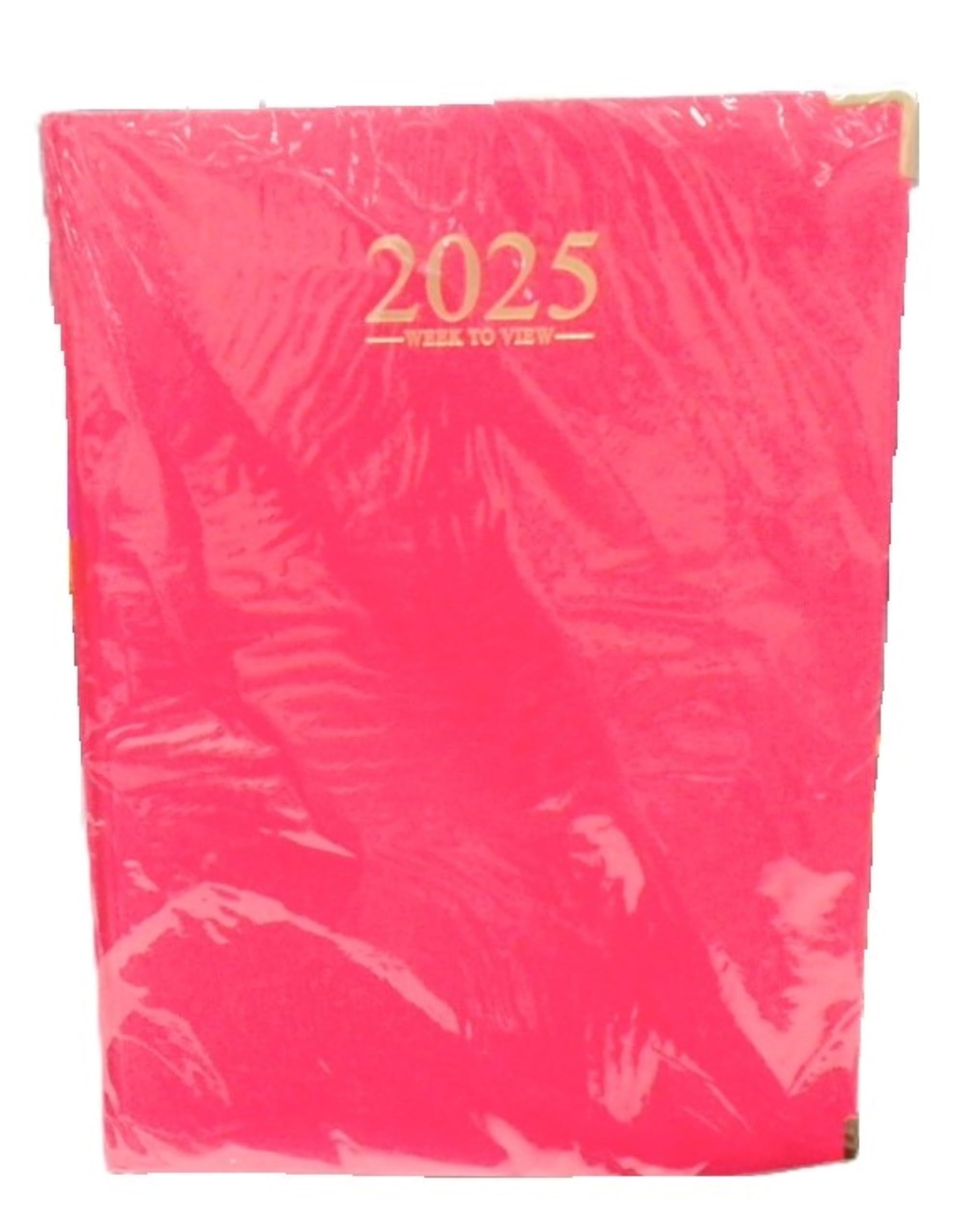 G4GADGET 2025 A4 Week to View Pink Diary, Week on Two Pages, Hardback