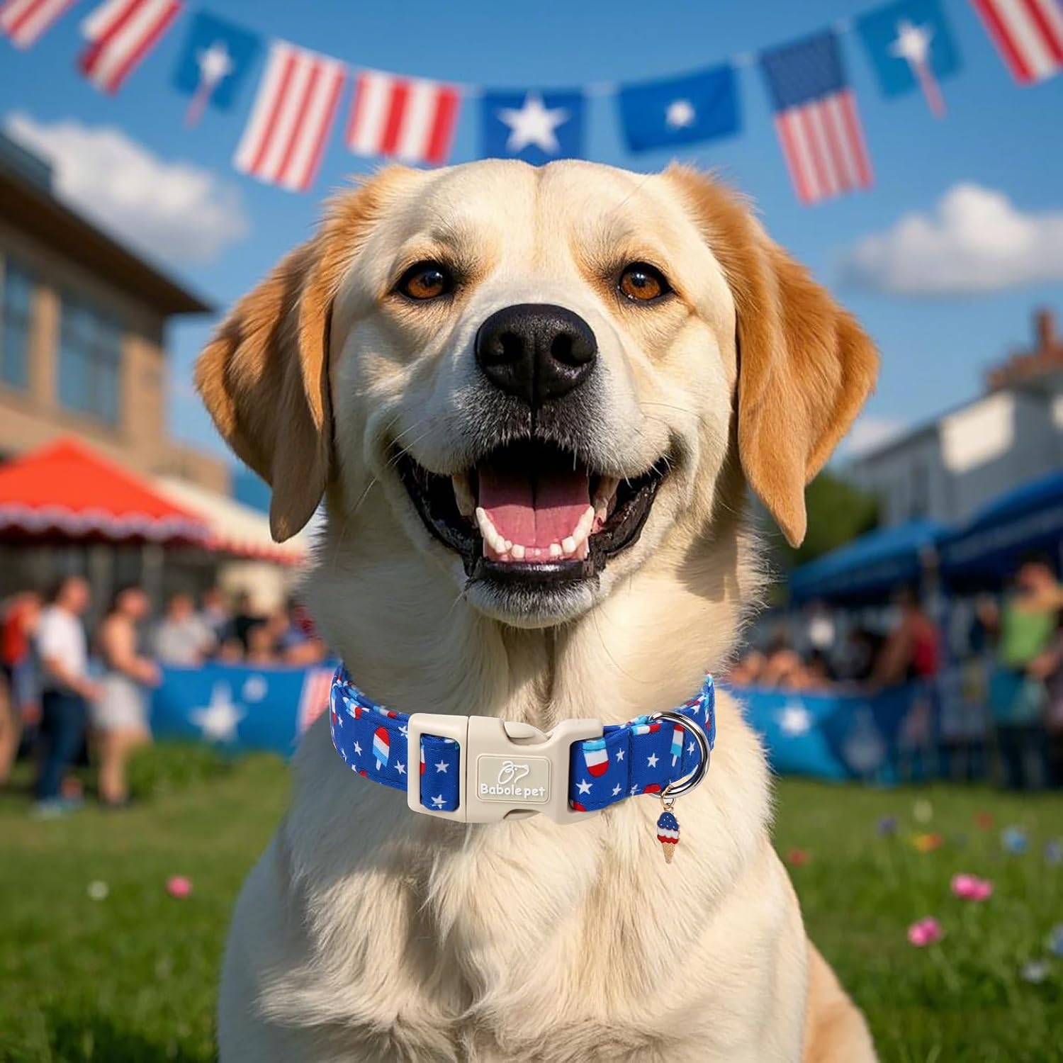4th of July Dog Collar, Summer Popsicle Patriotic Dog Collars for Giant Large Dogs, Adjustable Lightweight Quick-Release Buckle Collar for Boy&Girl Dogs XL image 3