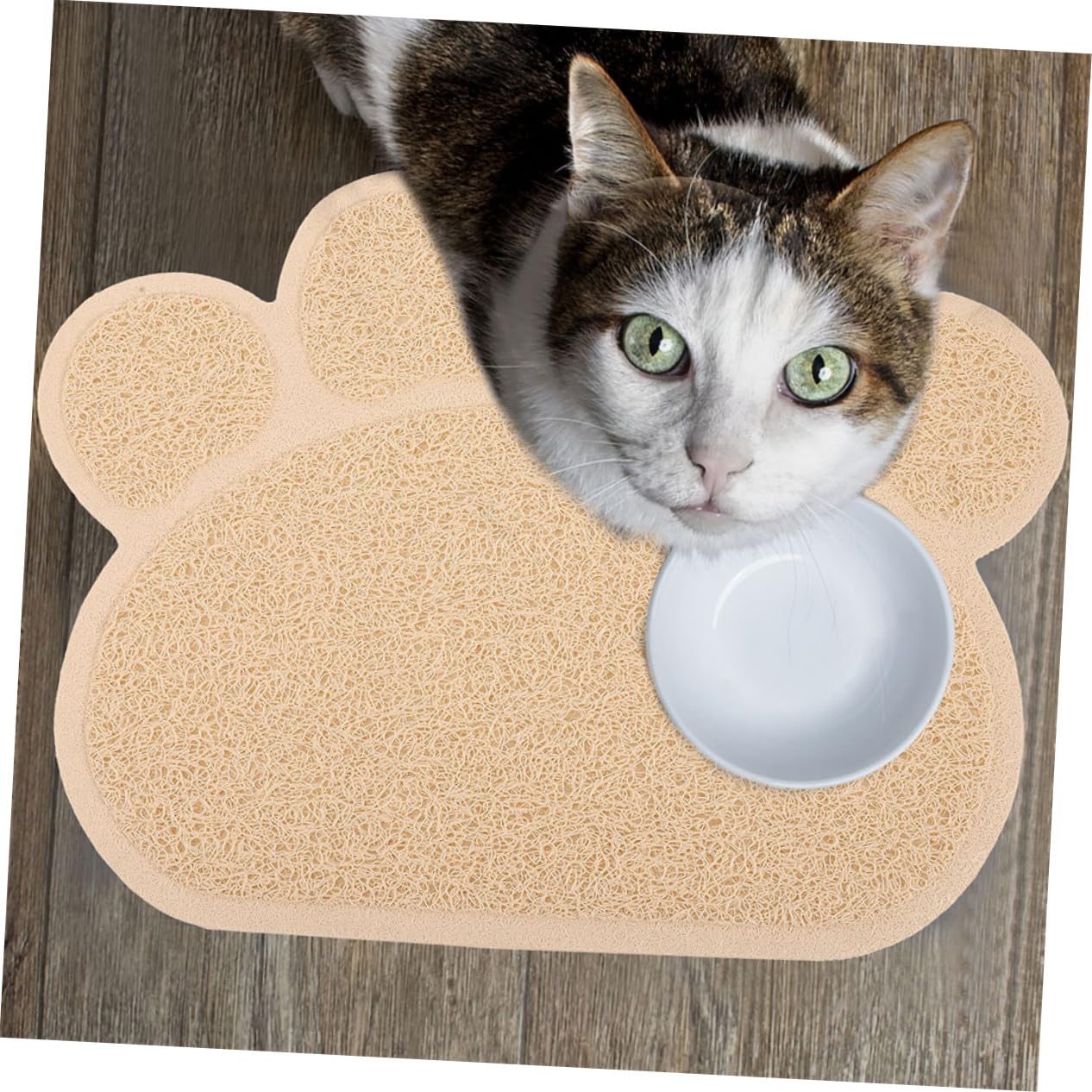 2 Stück Teiliges Katzenstreu Matte Rutschfeste Katzenklo Matte Kratzfeste Katzenpfoten Auffangmatte Hitze Kältebeständig Wiederverwendbar für Katzenfutter und Katzenklo