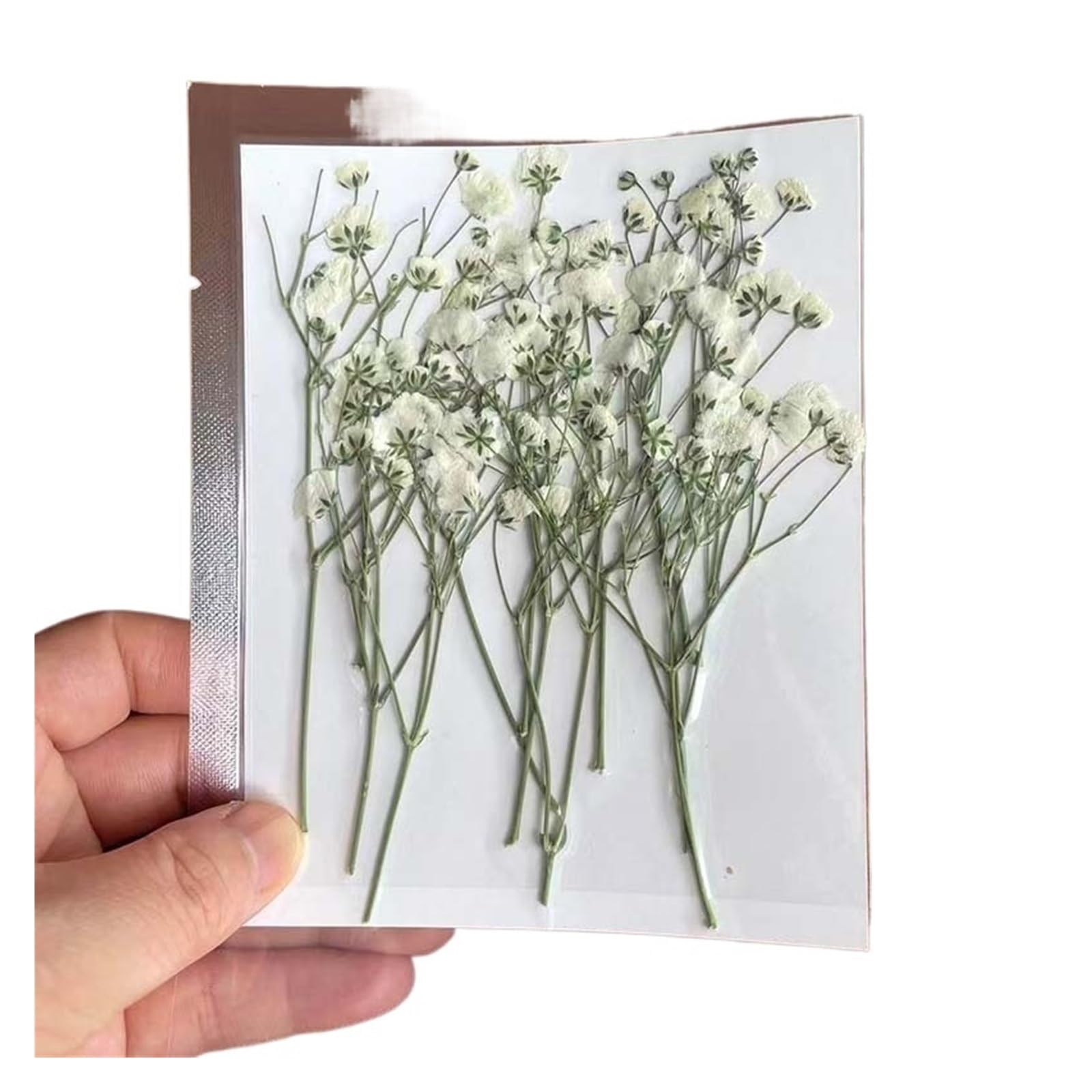 WJIAYAO dried gypsophila flowers 7-10CM, Dried Pressed Flowers Babys Breath,Dry Press Gypsophila Branch DIY for Bookmark Card(04-White)