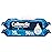 Cottonelle XL Flushable Wet Wipes, Adult Wipes Large, 2 Flip-Top Packs, 45 Wipes Per Pack (90 Total Wipes), Packaging May Vary